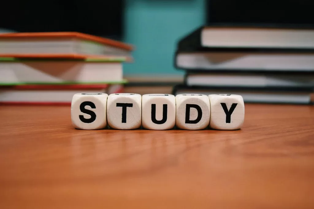 Leaving Certificate - study picture