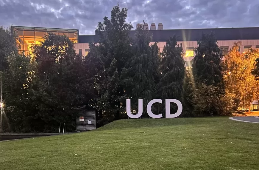 Essential Tips Every UCD Fresher Should Know