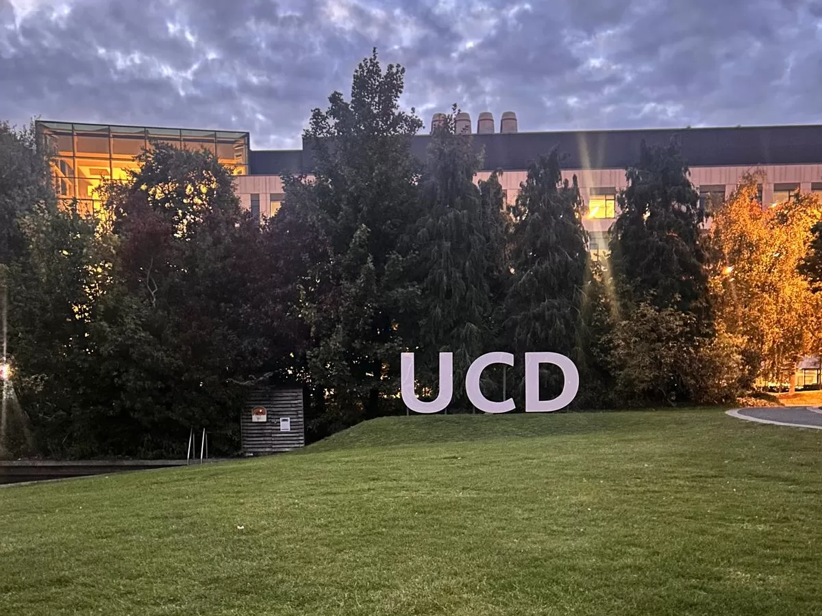 UCD